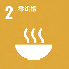 Strat&eacute;gies de d&eacute;veloppement durable