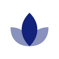 Green low-carbon components produced from renewable energy sources